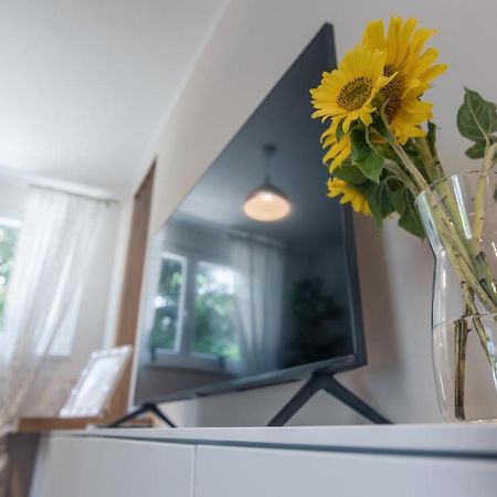Apartment Norah With Private Parking بولا المظهر الخارجي الصورة